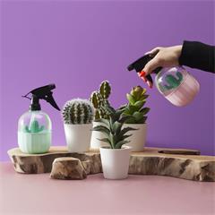 VAPORISATEURS CACTUS ASSORTIS