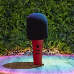 MICRO KARAOKE MICKY
