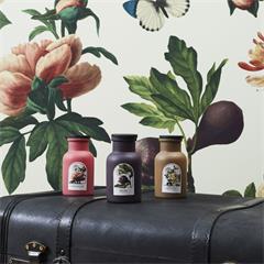 BOUGIES JARDIN D EDEN 11CM ASSORTIES