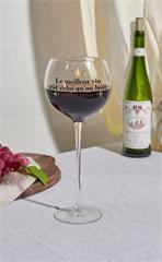 VERRE A VIN DEGUSTATION ENTRE AMIS XL