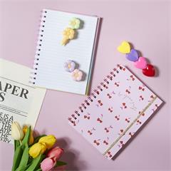 CARNETS ET SURLIGNEURS LES COQUETTES ASSORTIS M12
